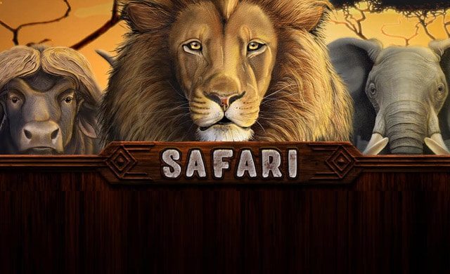 Safari Online Casino Slot Review logo